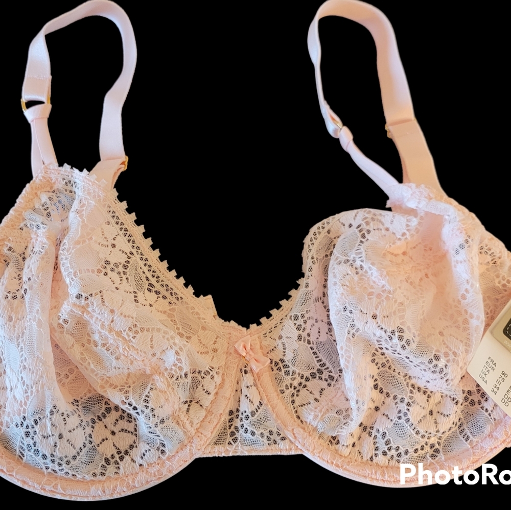 Chantelle 34 DD Gorgeous Pink Bra